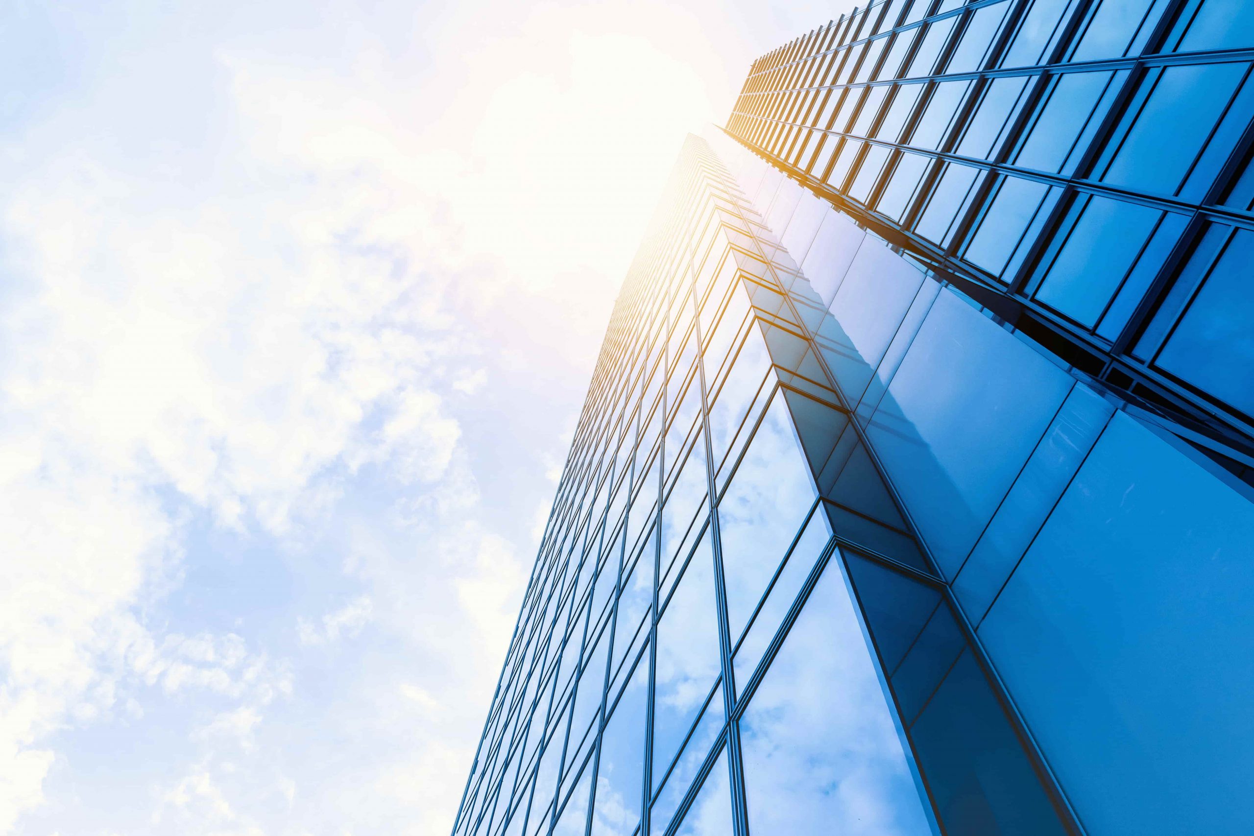 Corporate Profile