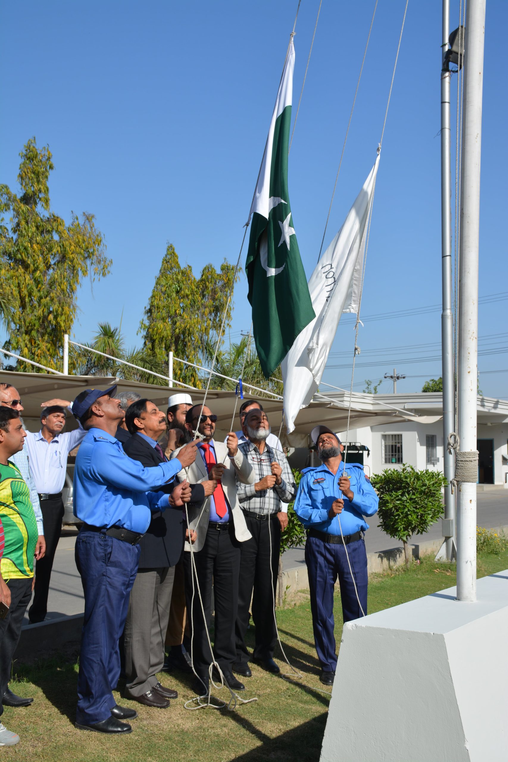 Image link